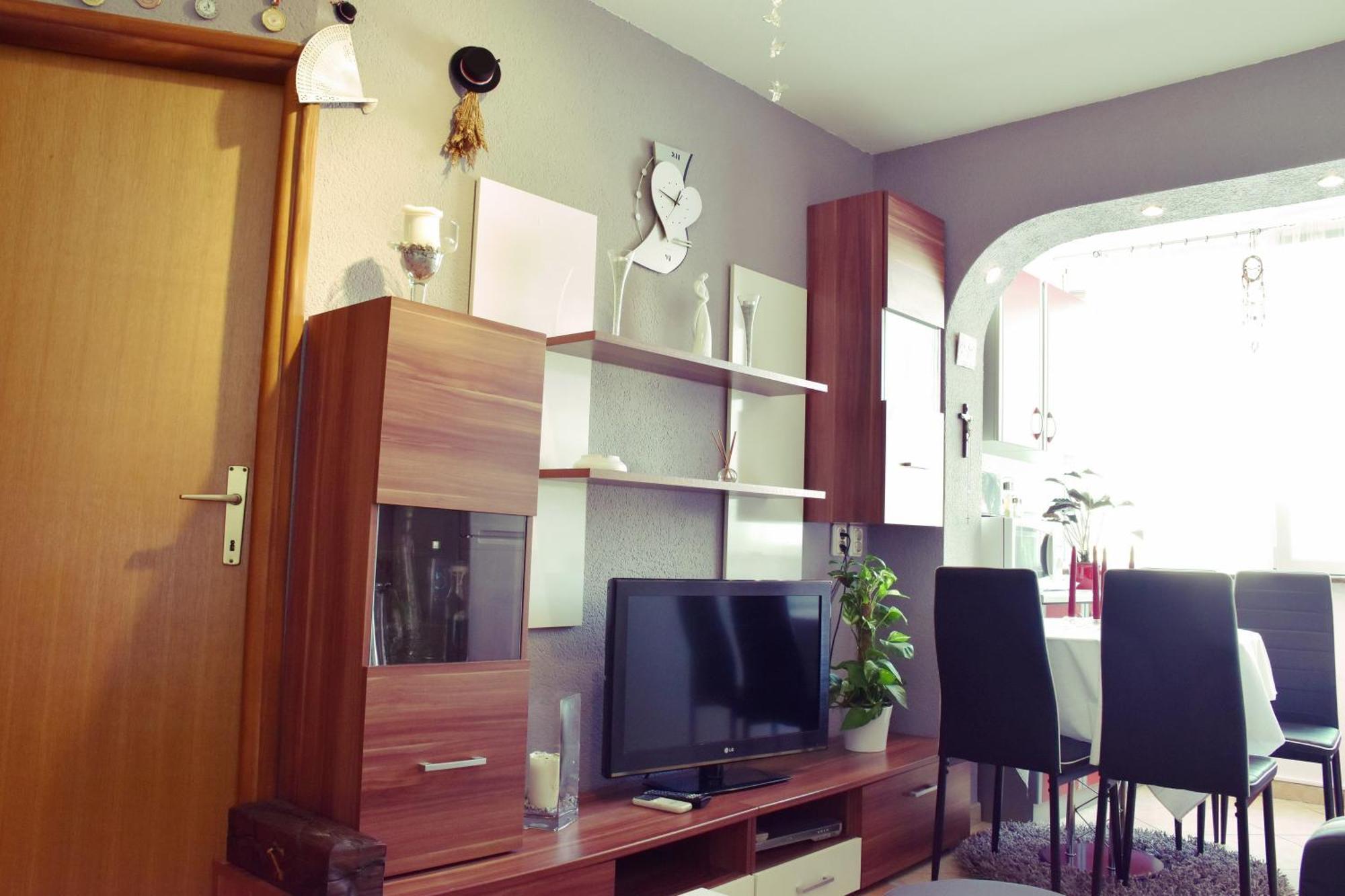 Apartment Zivkovic